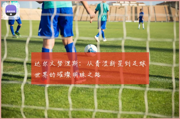 达尔文努涅斯：从青涩新星到足球世界的璀璨明珠之路