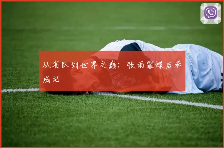 从省队到世界之巅：张雨霏蝶后养成记